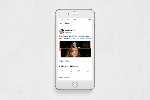 Style Twitter Posts in Twitter Templates - product preview 5