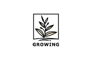 Framed Plant Logo Template
