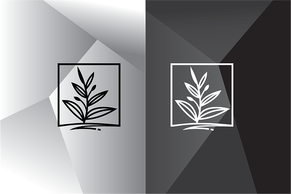 Framed Plant Logo Template in Logo Templates - product preview 1
