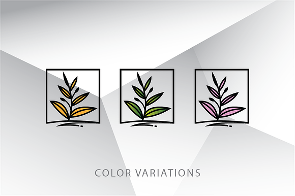 Framed Plant Logo Template in Logo Templates - product preview 2