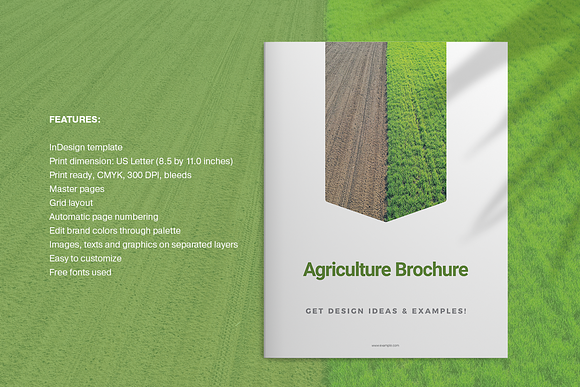 Agriculture Brochure in Brochure Templates - product preview 1