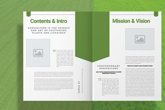 Agriculture Brochure in Brochure Templates - product preview 2