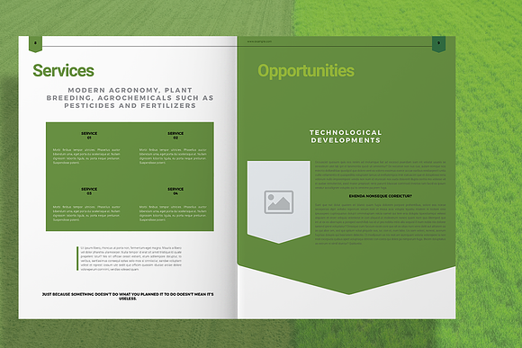 Agriculture Brochure in Brochure Templates - product preview 5