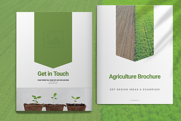 Agriculture Brochure in Brochure Templates - product preview 7