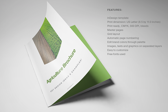 Agriculture Brochure in Brochure Templates - product preview 8