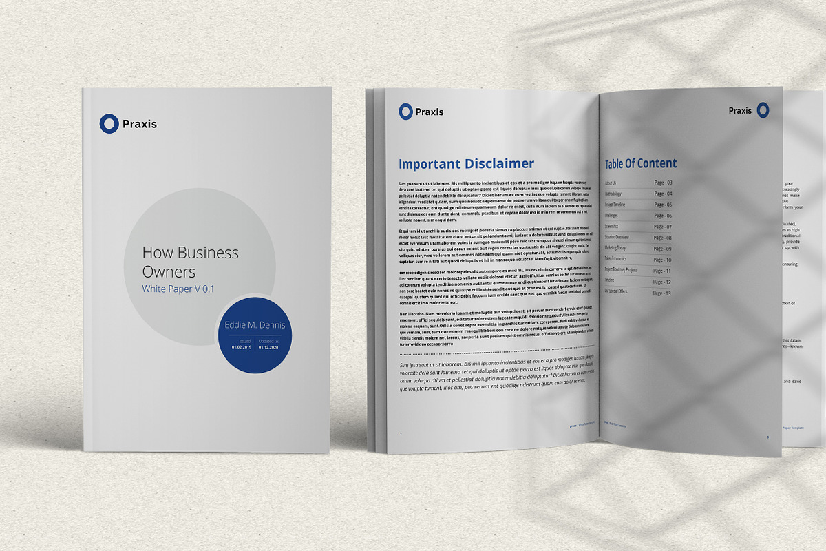 White Paper Template Word 2020 in Brochure Templates - product preview 8
