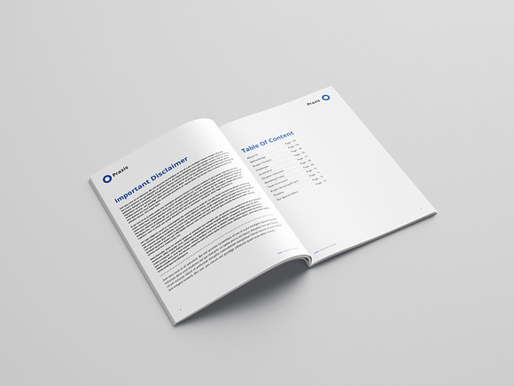 White Paper Template Word 2020 in Brochure Templates - product preview 1