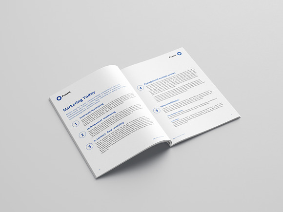 White Paper Template Word 2020 in Brochure Templates - product preview 4