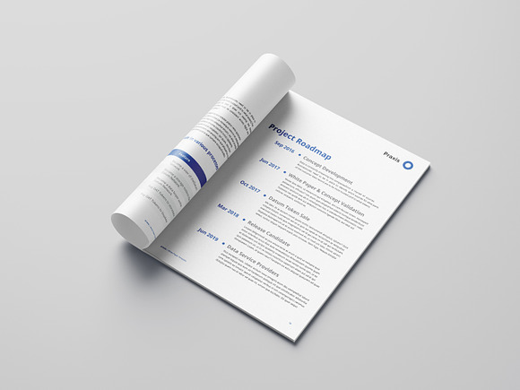 White Paper Template Word 2020 in Brochure Templates - product preview 5