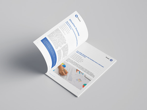 White Paper Template Word 2020 in Brochure Templates - product preview 6