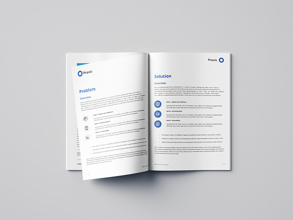 White Paper Template Word 2020 in Brochure Templates - product preview 7