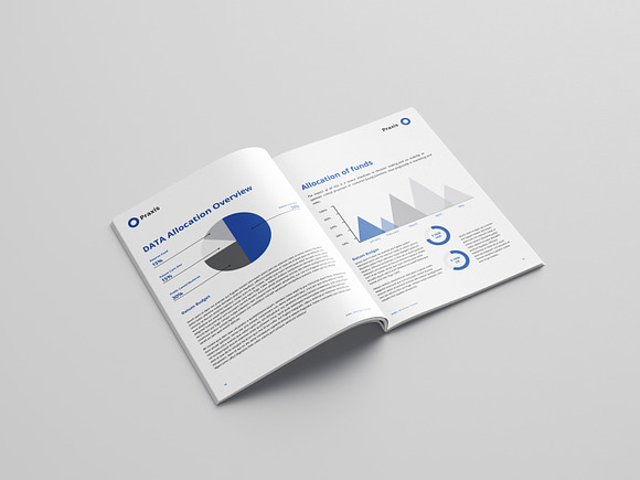 White Paper Template Word 2020 in Brochure Templates - product preview 9