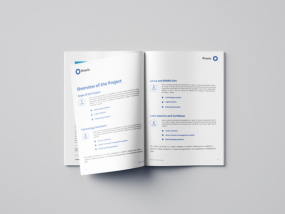 White Paper Template Word 2020 in Brochure Templates - product preview 10