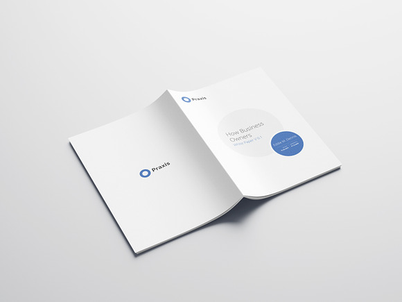 White Paper Template Word 2020 in Brochure Templates - product preview 11