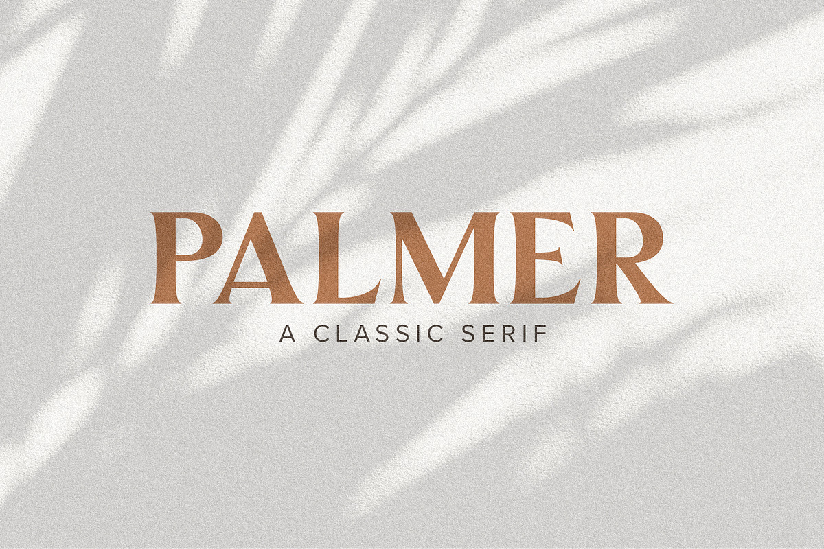 Palmer | A Classic Serif in Serif Fonts - product preview 8