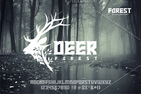 FOREST in Display Fonts - product preview 1