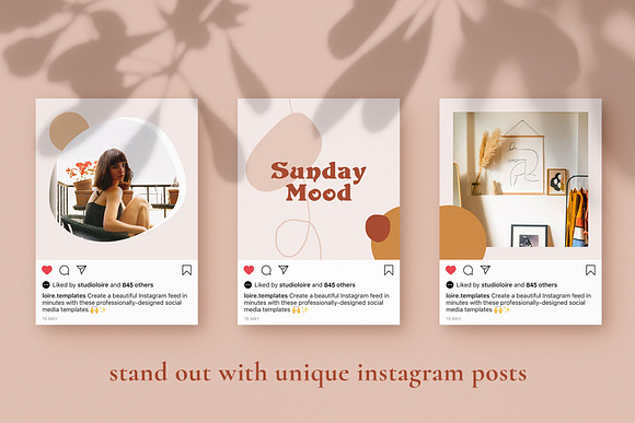 Robin Instagram puzzle | CANVA in Instagram Templates - product preview 5