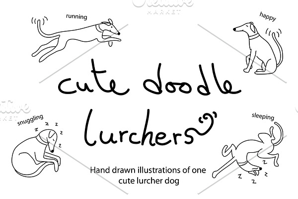 Cute doodle lurcher/greyhound dogs