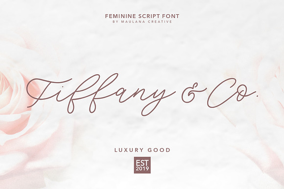 Southwide Feminine Script Font in Script Fonts - product preview 1