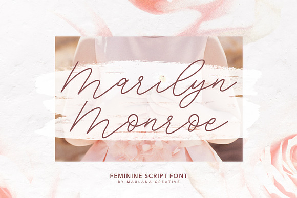 Southwide Feminine Script Font in Script Fonts - product preview 6