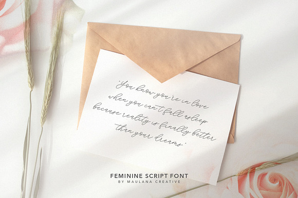 Southwide Feminine Script Font in Script Fonts - product preview 7