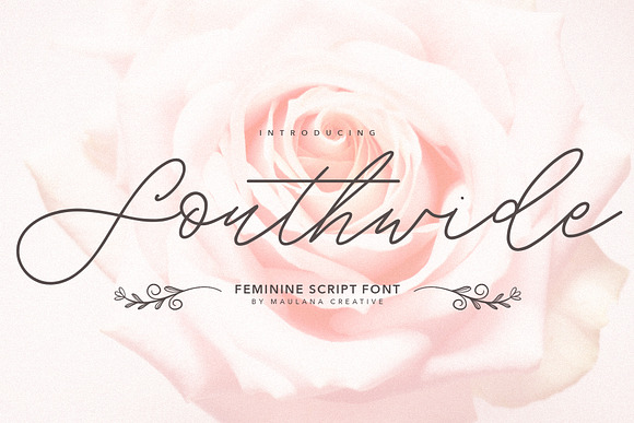 Southwide Feminine Script Font in Script Fonts - product preview 9