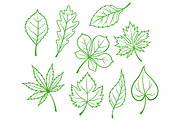 Green leaves silhouettes