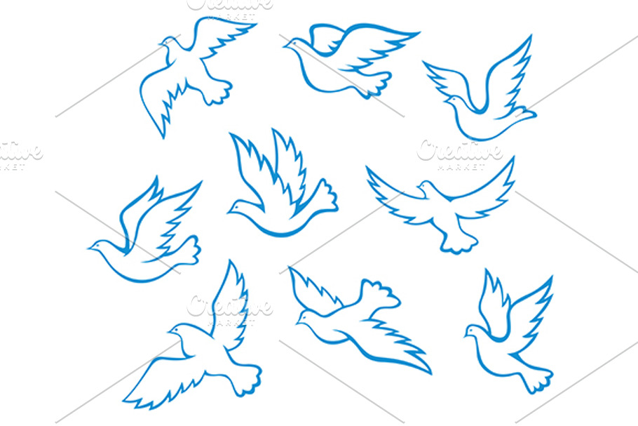 Pideons and doves birds in Graphics - product preview 8