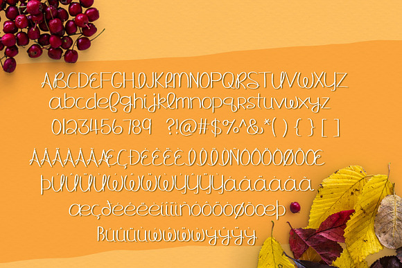 UPDATED! Hello Fall Handwritten Font in Display Fonts - product preview 1