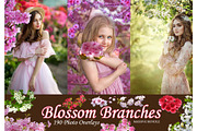 190 Blossom Tree Branches Overlays