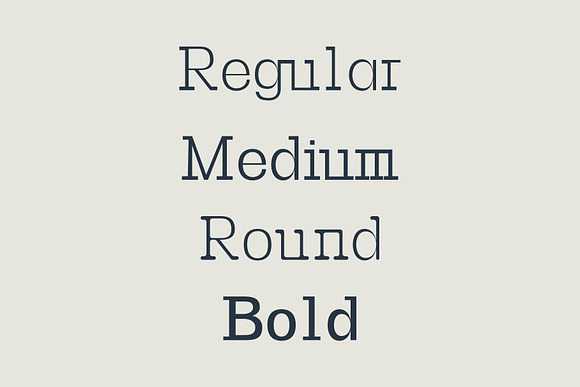 Basel Slab Serif Font Family in Slab Serif Fonts - product preview 4