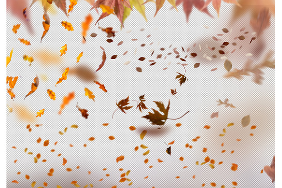 Autumn Bundle Overlays, Fall Lights in Objects - product preview 6