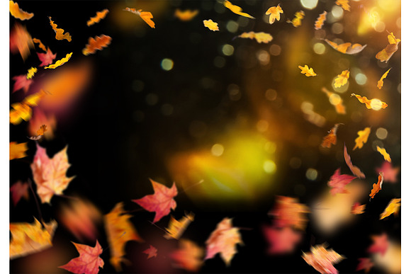 Autumn Bundle Overlays, Fall Lights in Objects - product preview 8