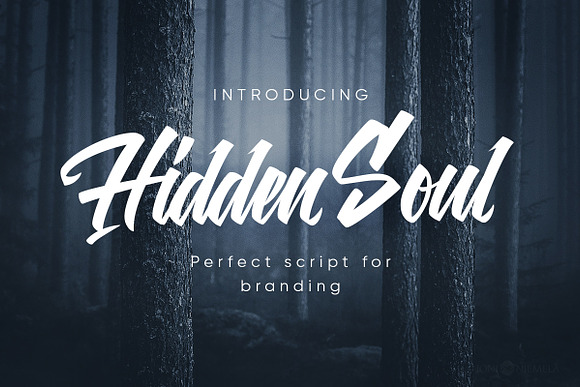 Hidden Soul in Script Fonts - product preview 10