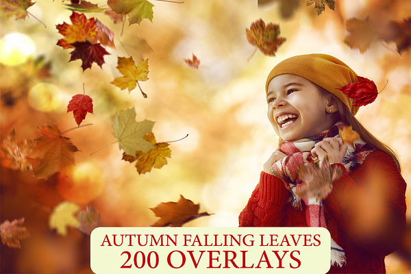 200 Falling Leaves Overlays PNG