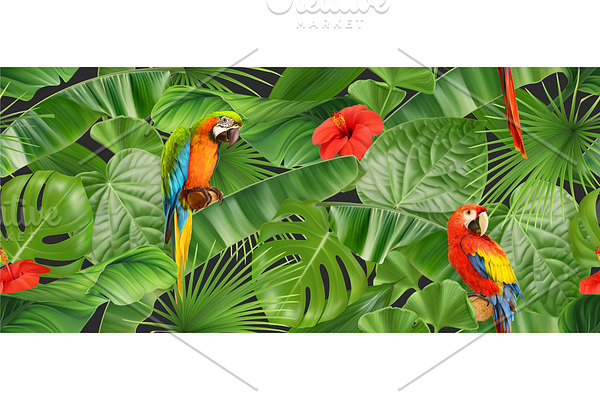 Tropical leaves, parrot, background