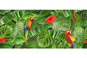 Tropical leaves, parrot, background