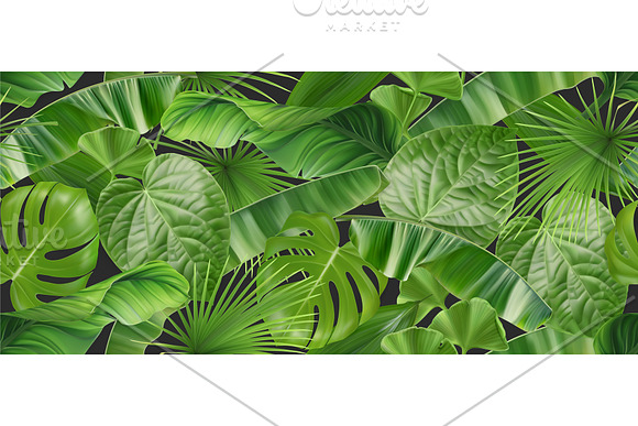 Tropical leaves, parrot, background in Illustrations - product preview 3