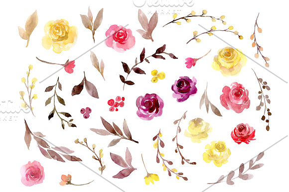 Bright Watercolor Flowers Roses PNG in Illustrations - product preview 1