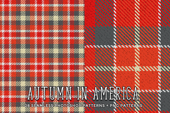 Autumn in America in Patterns - product preview 5