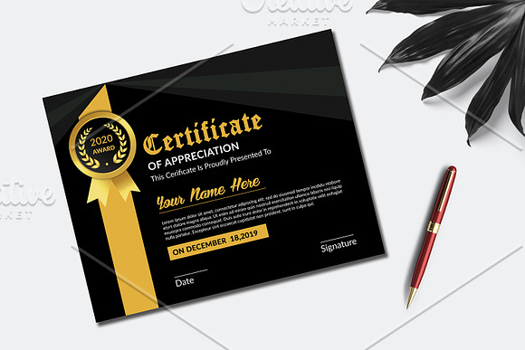 Certificate of Appreciation V18 in Stationery Templates - product preview 2