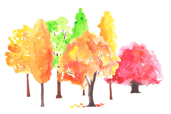 Autumn trees. Watercolor. in Illustrations - product preview 1