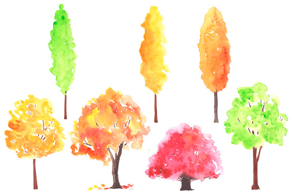 Autumn trees. Watercolor. in Illustrations - product preview 2