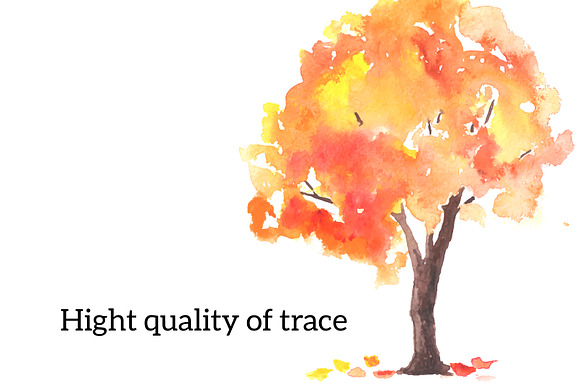 Autumn trees. Watercolor. in Illustrations - product preview 3