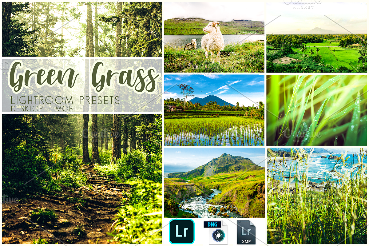 Lightroom Presets Green Grass in Add-Ons - product preview 8