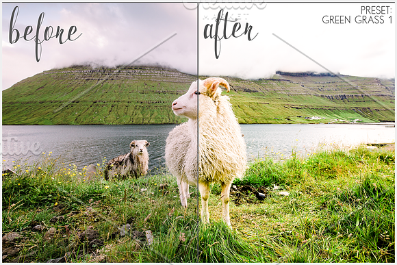 Lightroom Presets Green Grass in Add-Ons - product preview 1