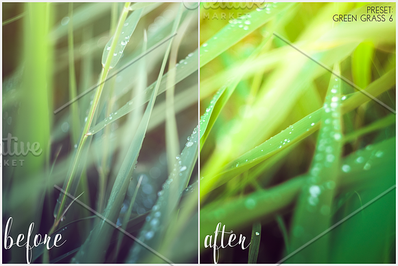 Lightroom Presets Green Grass in Add-Ons - product preview 5
