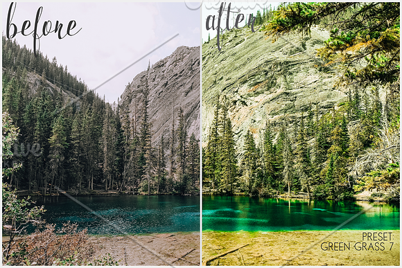 Lightroom Presets Green Grass in Add-Ons - product preview 6
