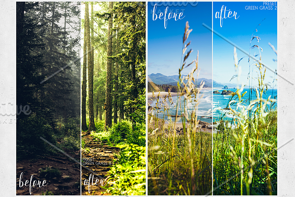 Lightroom Presets Green Grass in Add-Ons - product preview 7