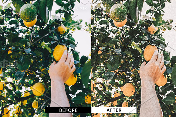 Nude Beige Lightroom Preset in Add-Ons - product preview 5